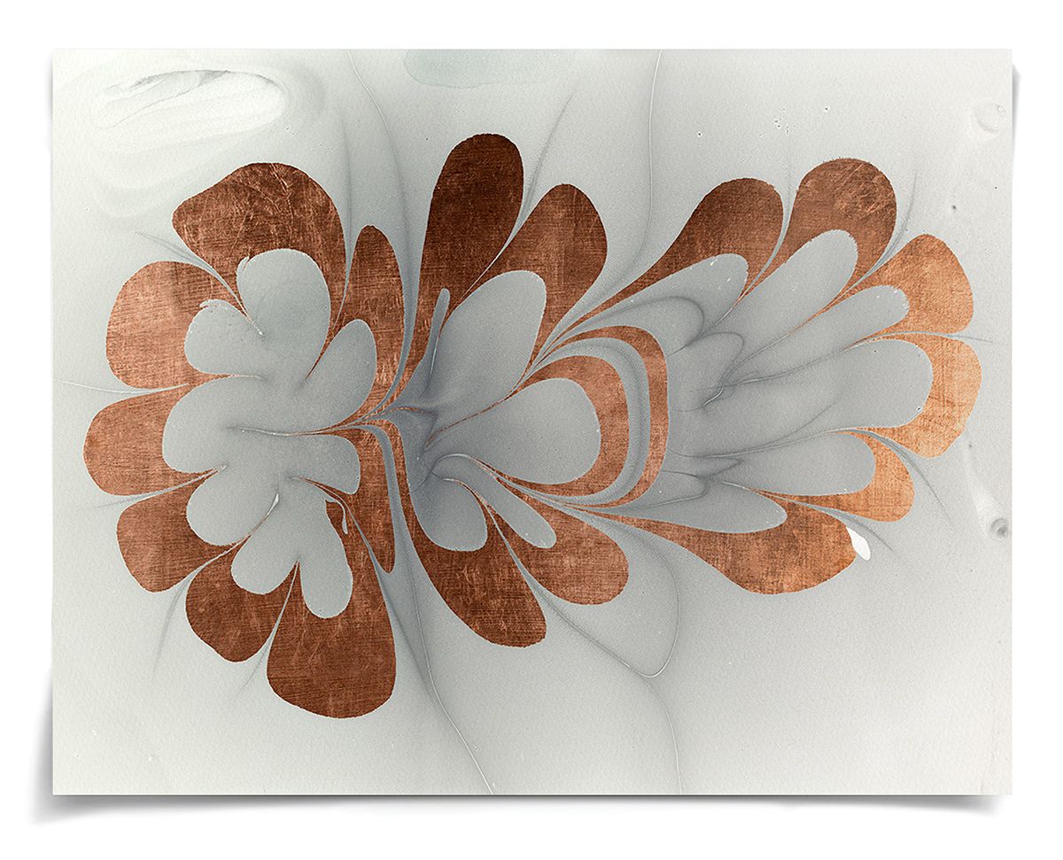 Natural Curiosities Abstract Oil Design Art