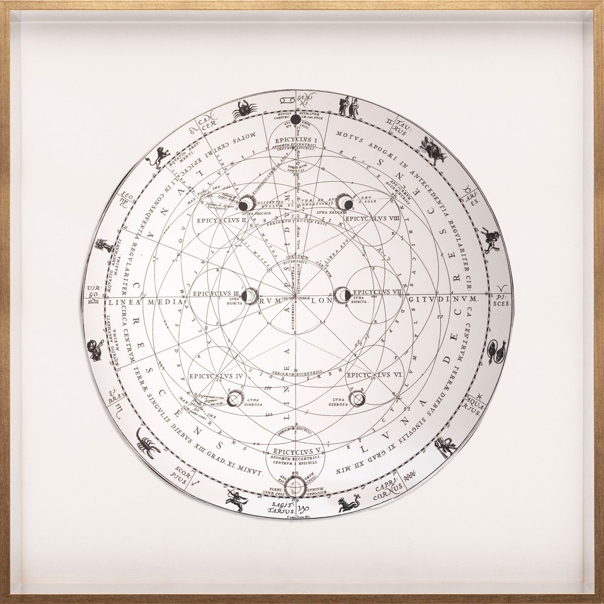 ACM Celestials Art by Natural Curiosities