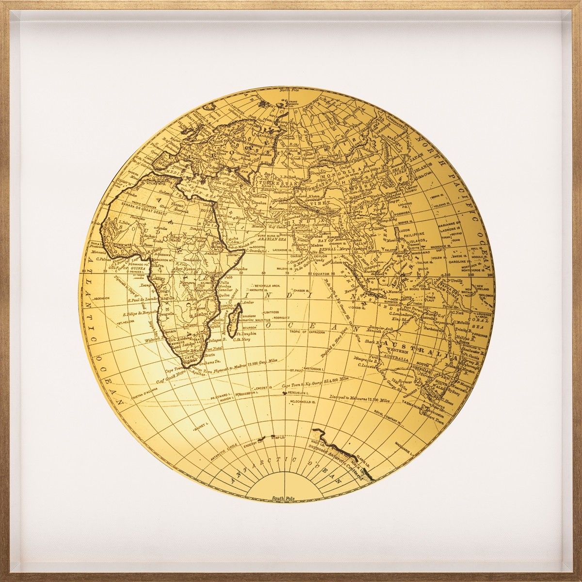 World No. 2 by Natural Curiosities