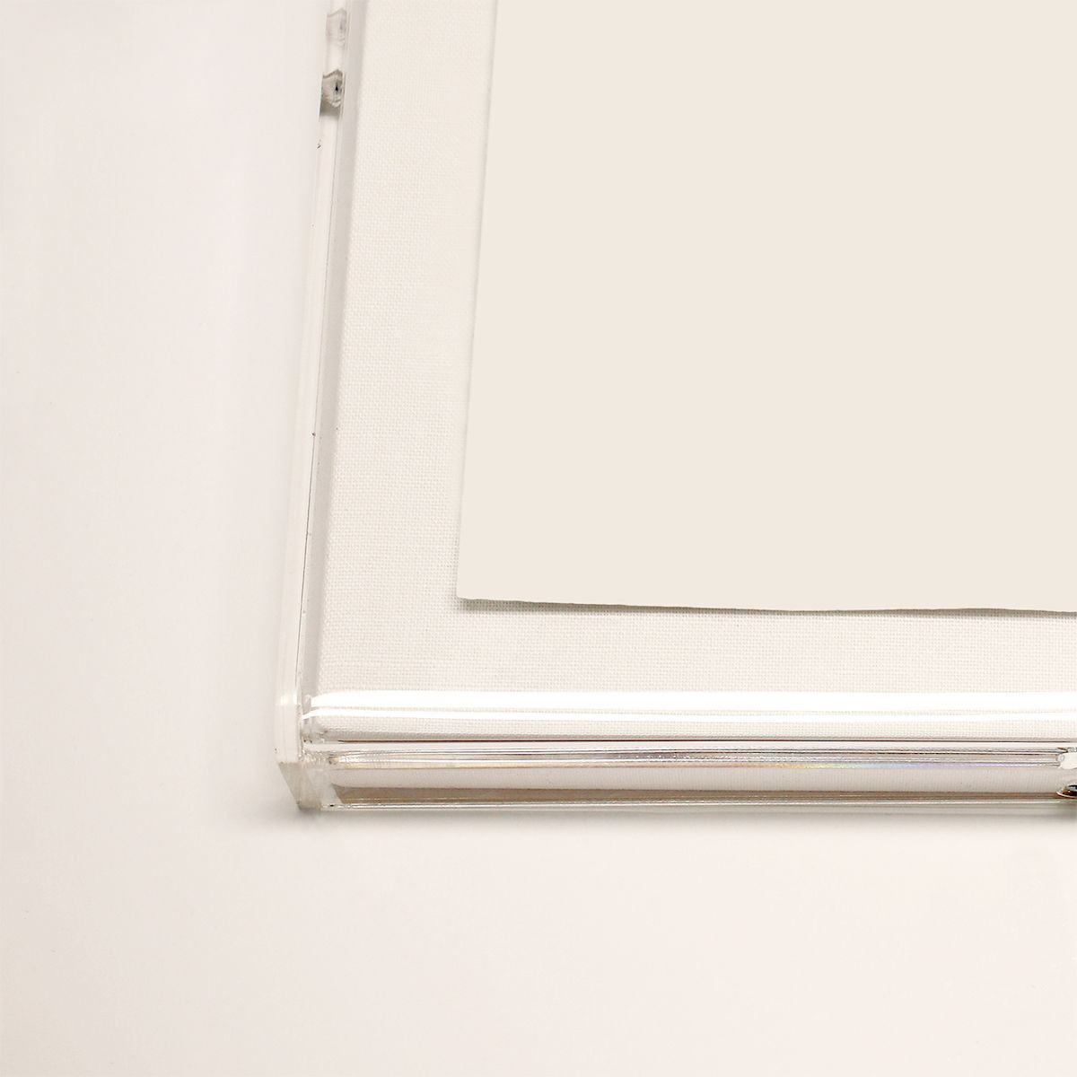 Natural Curiosities Golden Palms Series 1