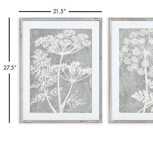 Napa Home And Garden Blooming Queen Anne's Lace Prints, Set Of 2