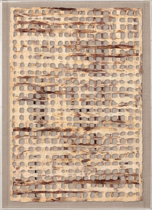 Natural Curiosities Amate Paper Art