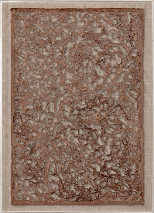 Natural Curiosities Amate Paper Art