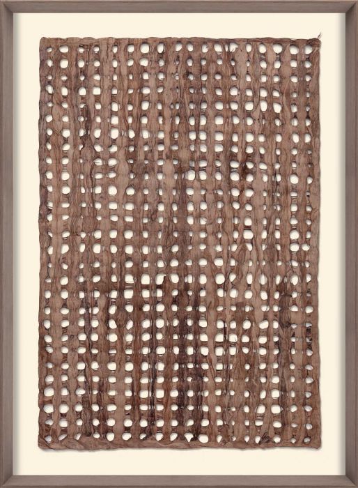 Natural Curiosities Amate Paper Art