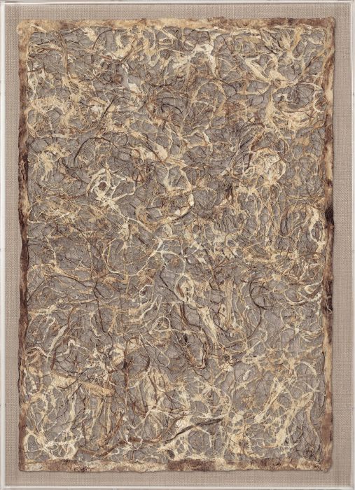 Natural Curiosities Amate Paper Art