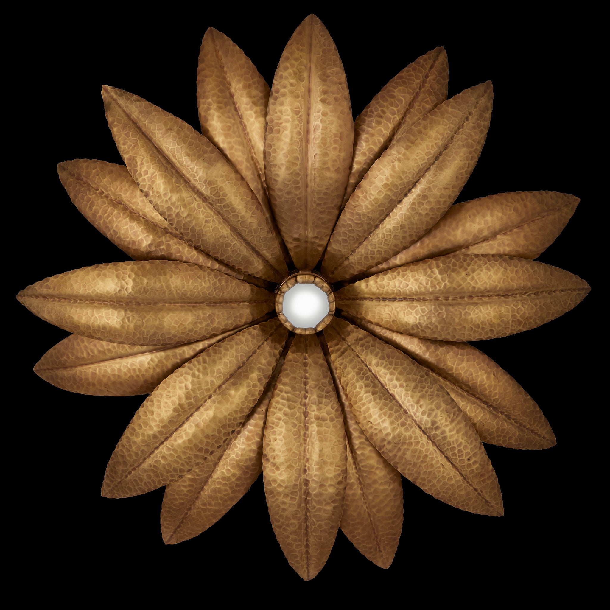 Currey & Company Alithea Single 1 Light Wall Sconce