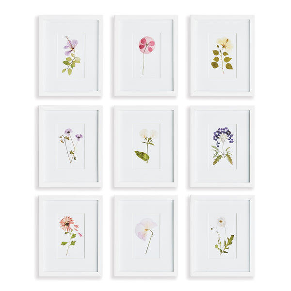 Napa Home And Garden Mountain Flower Petite Prints St/9