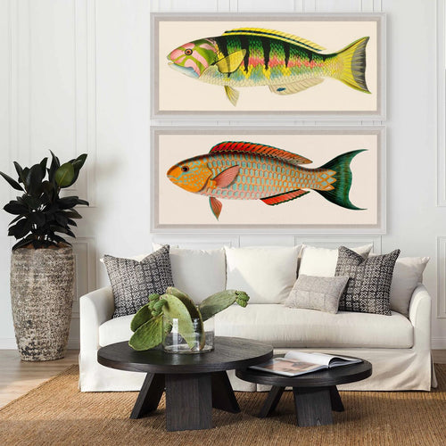 Bennet Fish 3 Art by Natural Curiosities
