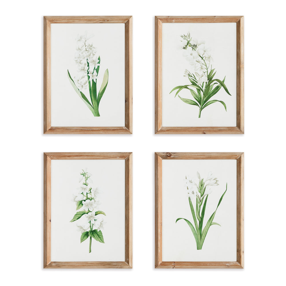 Napa Home And Garden Garden Bloom Prints, Set Of 4