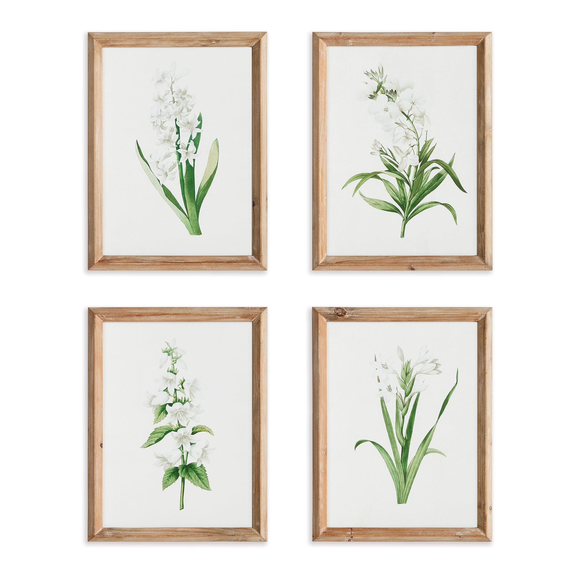 Napa Home And Garden Garden Bloom Prints, Set Of 4