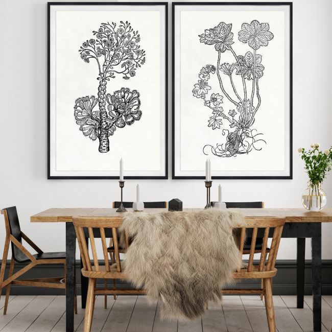 Natural Curiosities Botanical Study Art Series 1-3