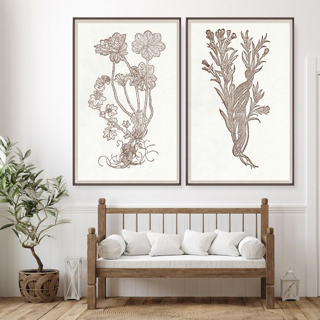 Natural Curiosities Botanical Study Art Series 1-3