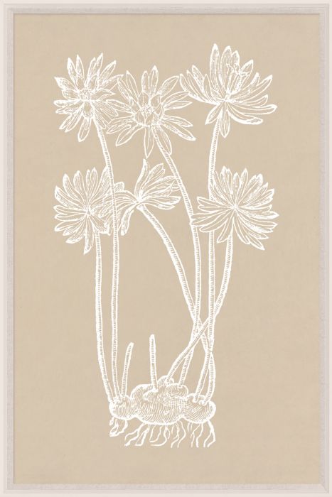 Natural Curiosities Botanical Study Art Series 1-3