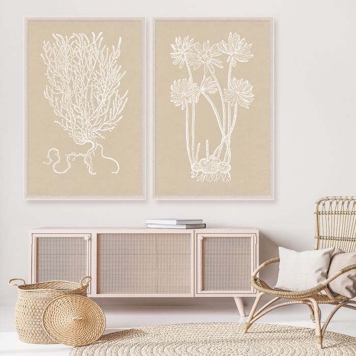 Natural Curiosities Botanical Study Art