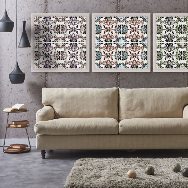 Butterfly Patterns 1 Art by Natural Curiosities