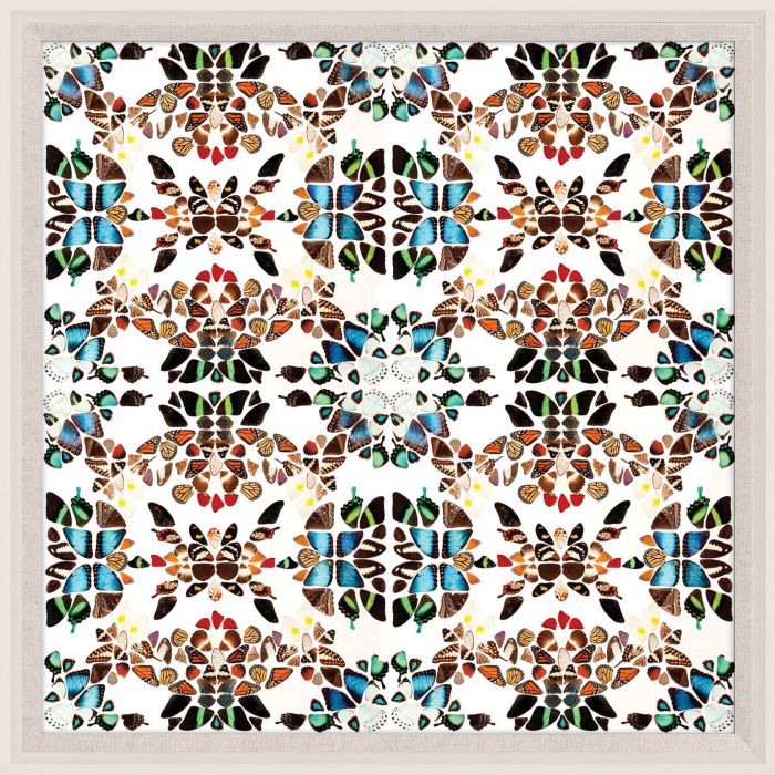 Butterfly Patterns 1 Art by Natural Curiosities