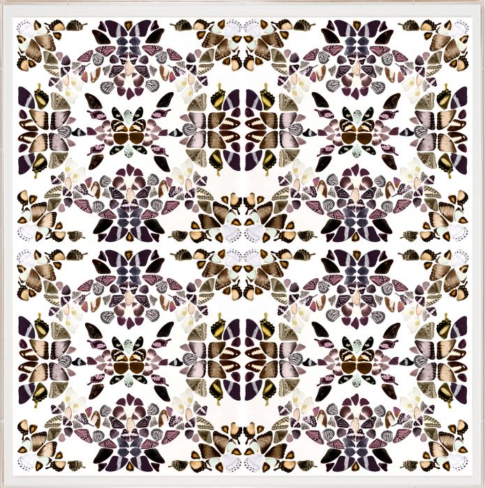 Butterfly Patterns 2 Art by Natural Curiosities