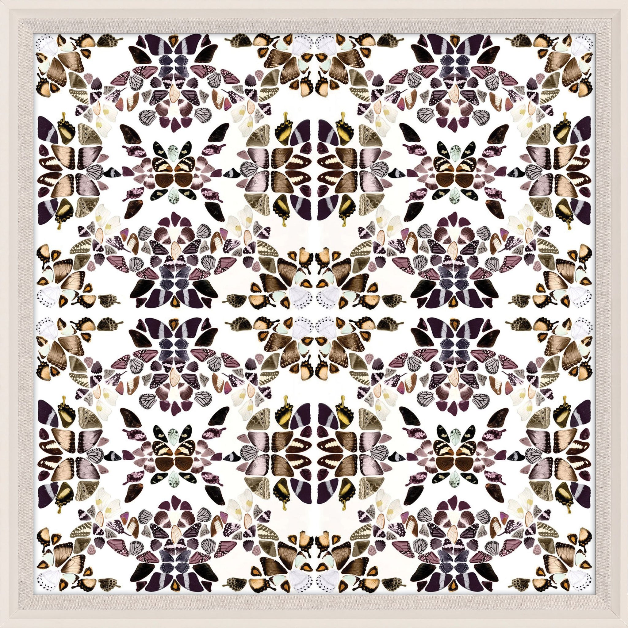 Butterfly Patterns 2 Art by Natural Curiosities