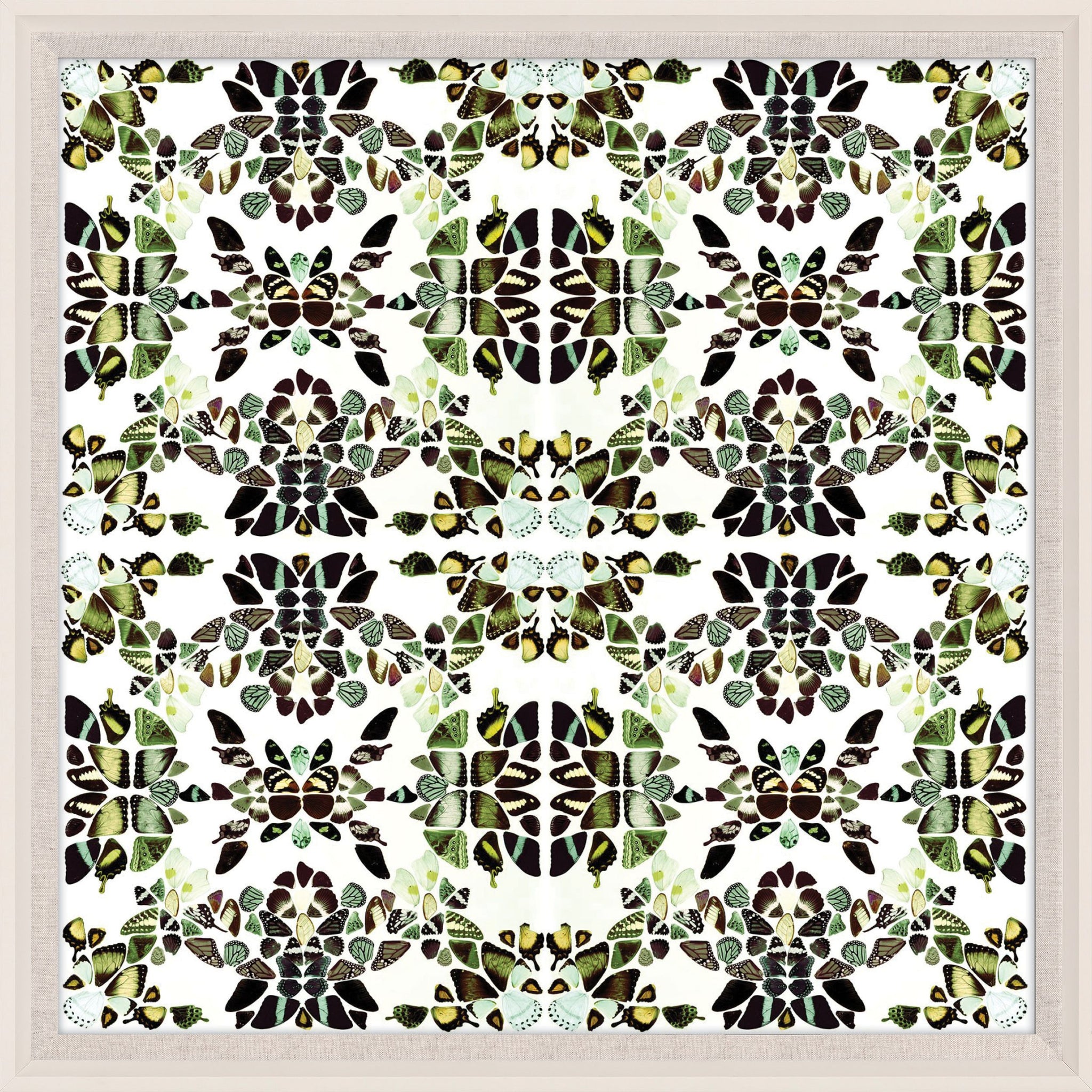 Butterfly Patterns 3 Art by Natural Curiosities