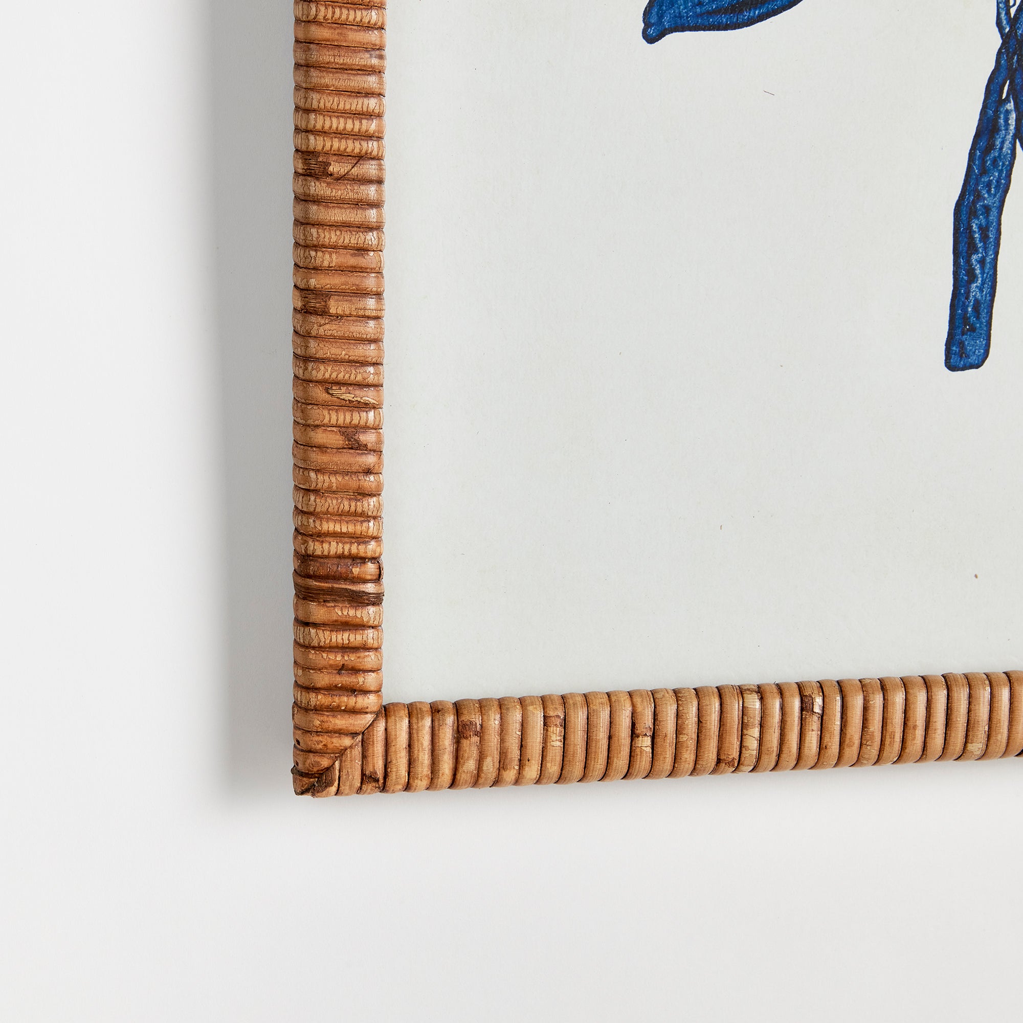 Napa Home And Garden Banksia Bouquet Prints, Set Of 2