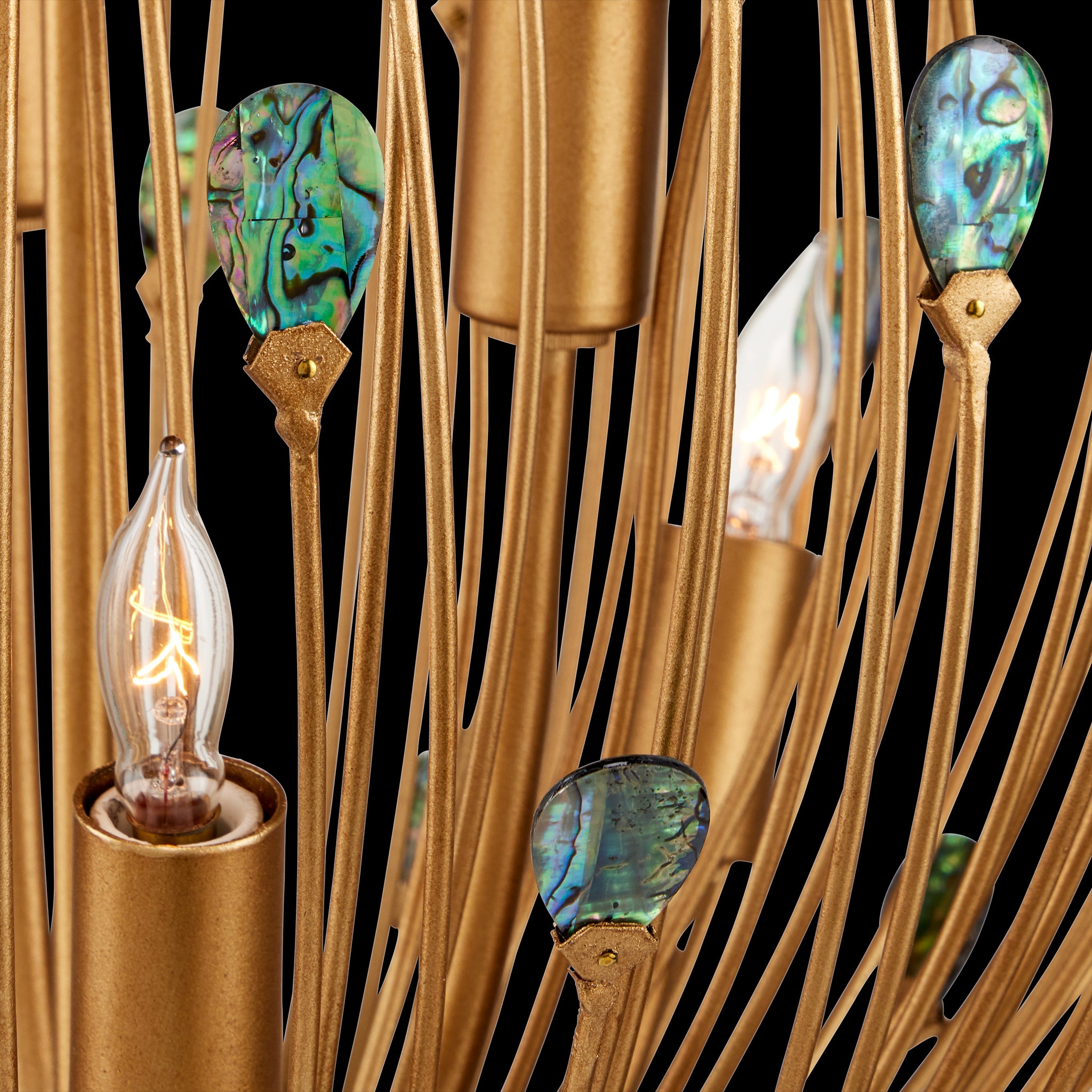 Currey & Company Delphos 19.5" Paua Shell 6 Light Chandelier