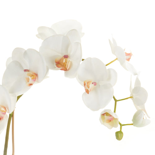 Napa Home And Garden Phalaenopsis Orchid Drop In 26"