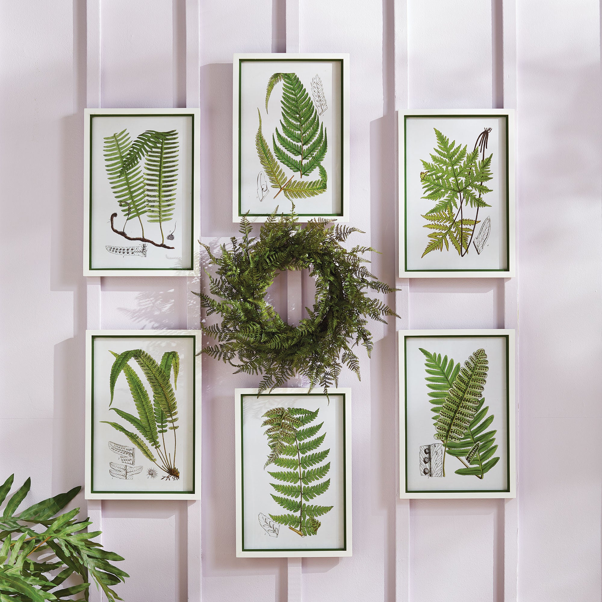 Napa Home And Garden Layered Fern Prints, Set Of 6