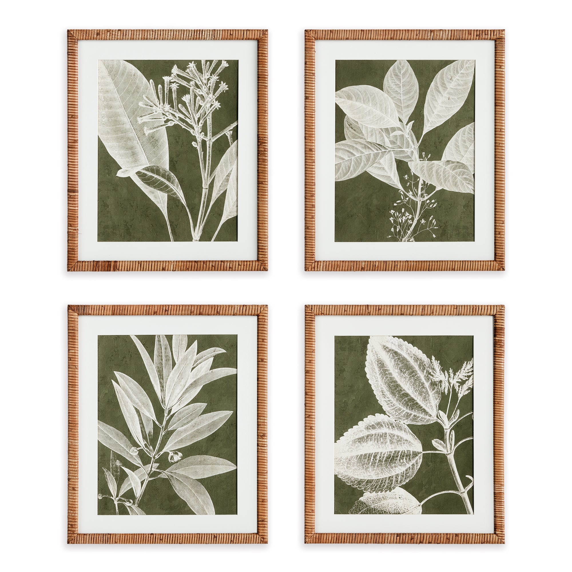 Napa Home And Garden Translucent Stem Prints, Set Of 4