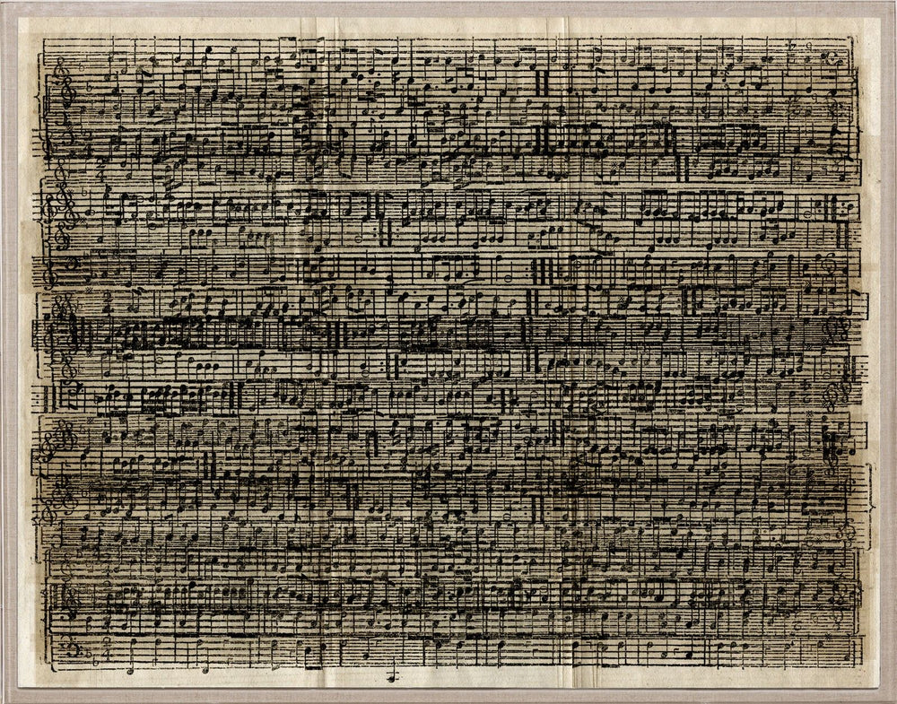 Cacophony Artwork by Natural Curiosities