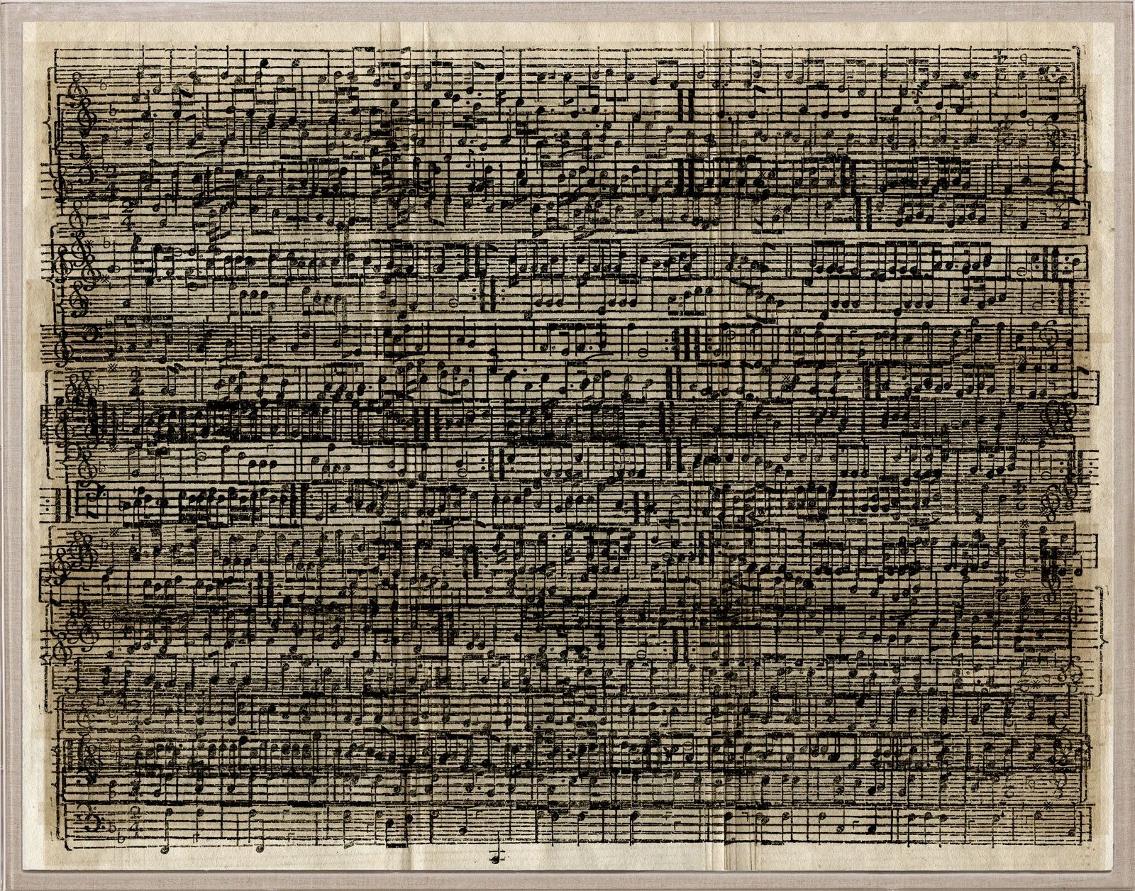 Cacophony Artwork by Natural Curiosities