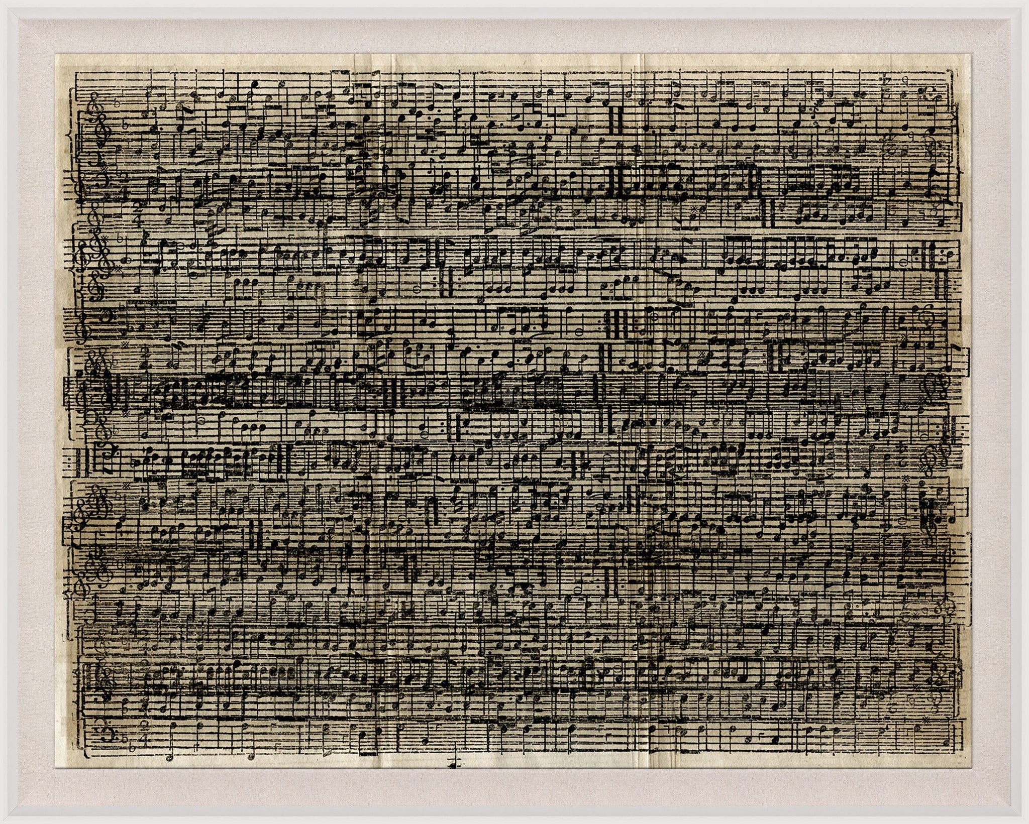 Cacophony Artwork by Natural Curiosities