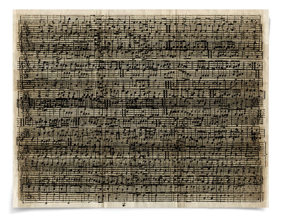 Natural Curiosities Cacophony Framed Art