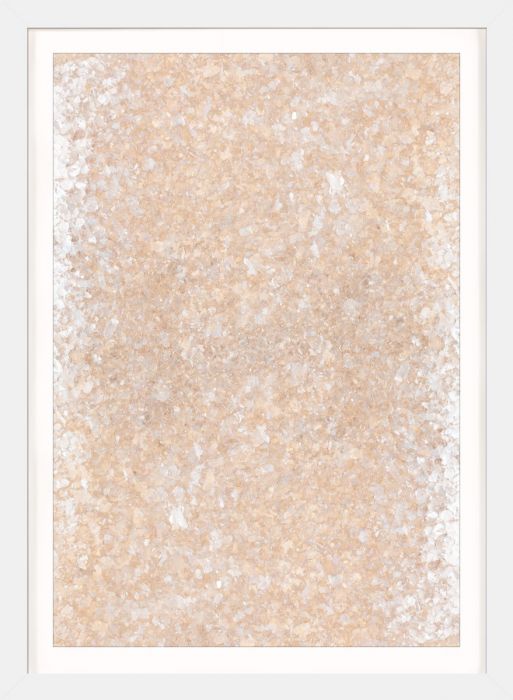 Natural Curiosities Calm State Framed Art