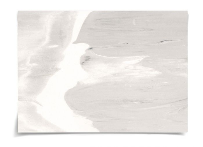 Natural Curiosities Calm Waters Art