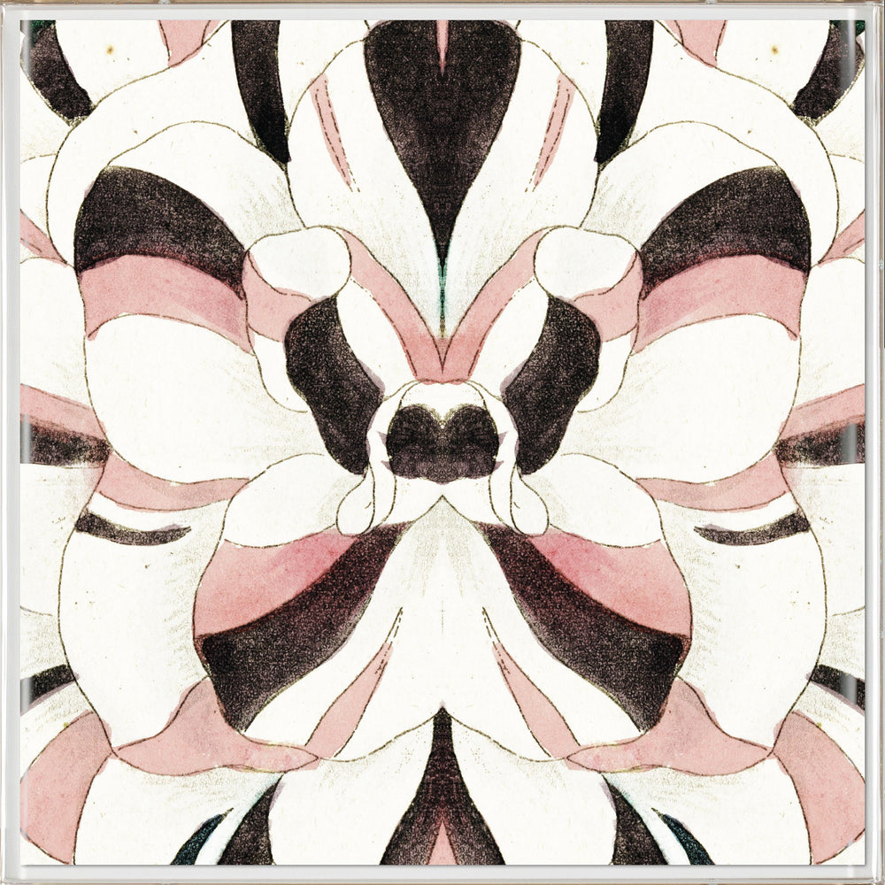 Natural Curiosities Carnations 1 Art