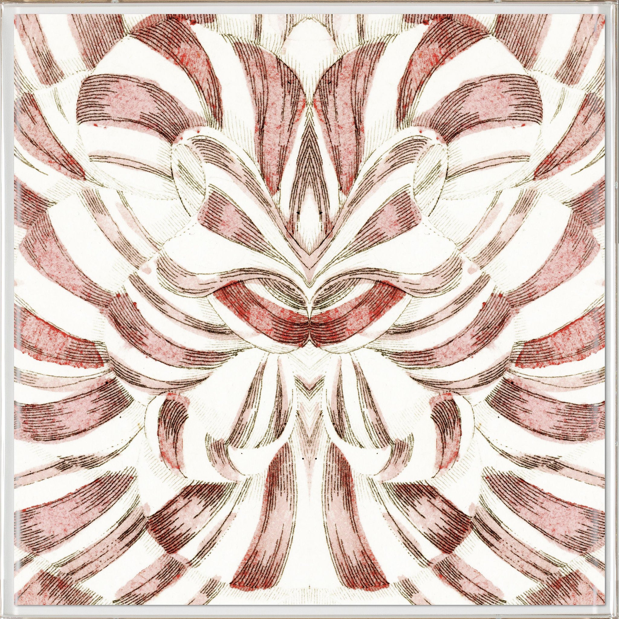 Natural Curiosities Carnations 2 Art