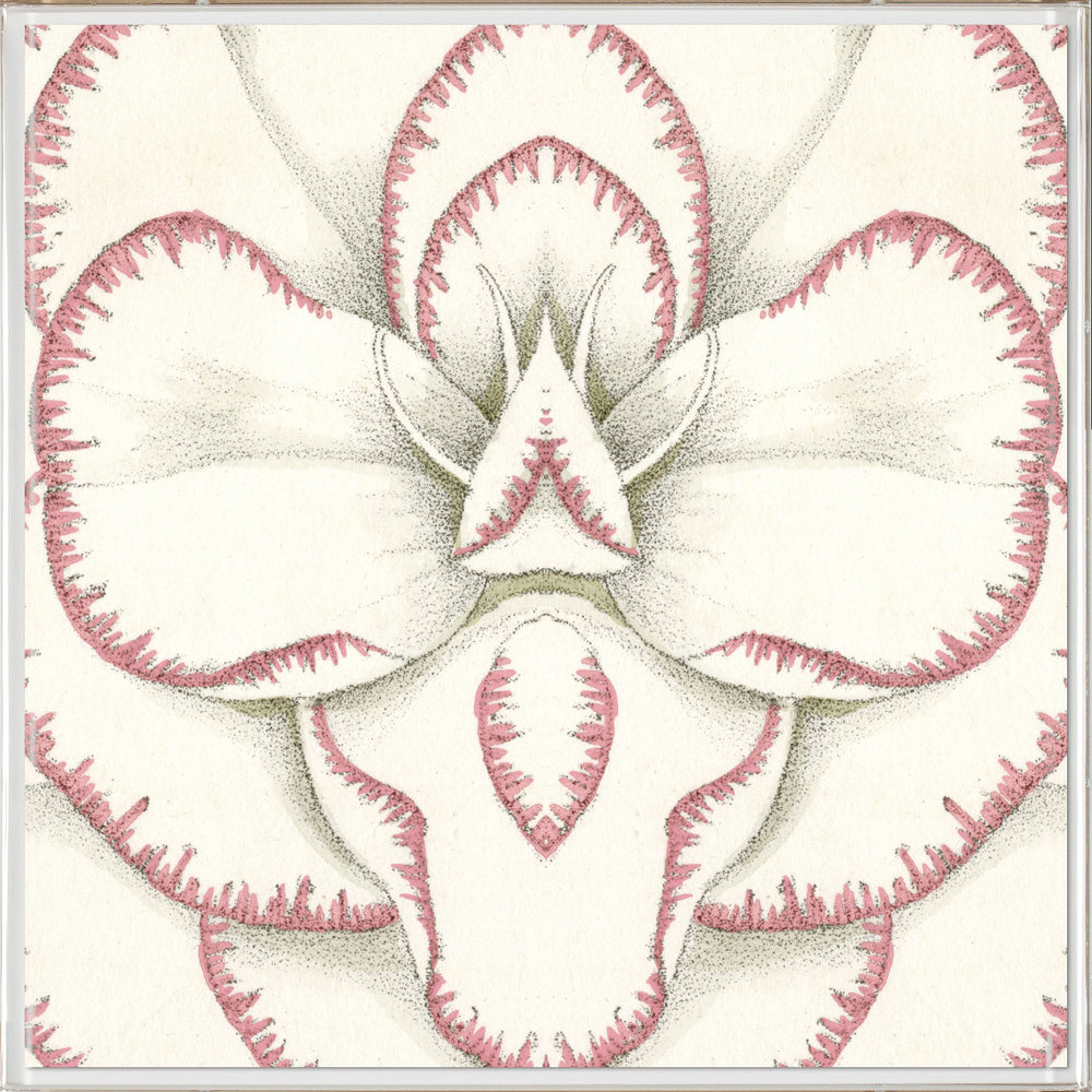 Natural Curiosities Carnations 3 Art