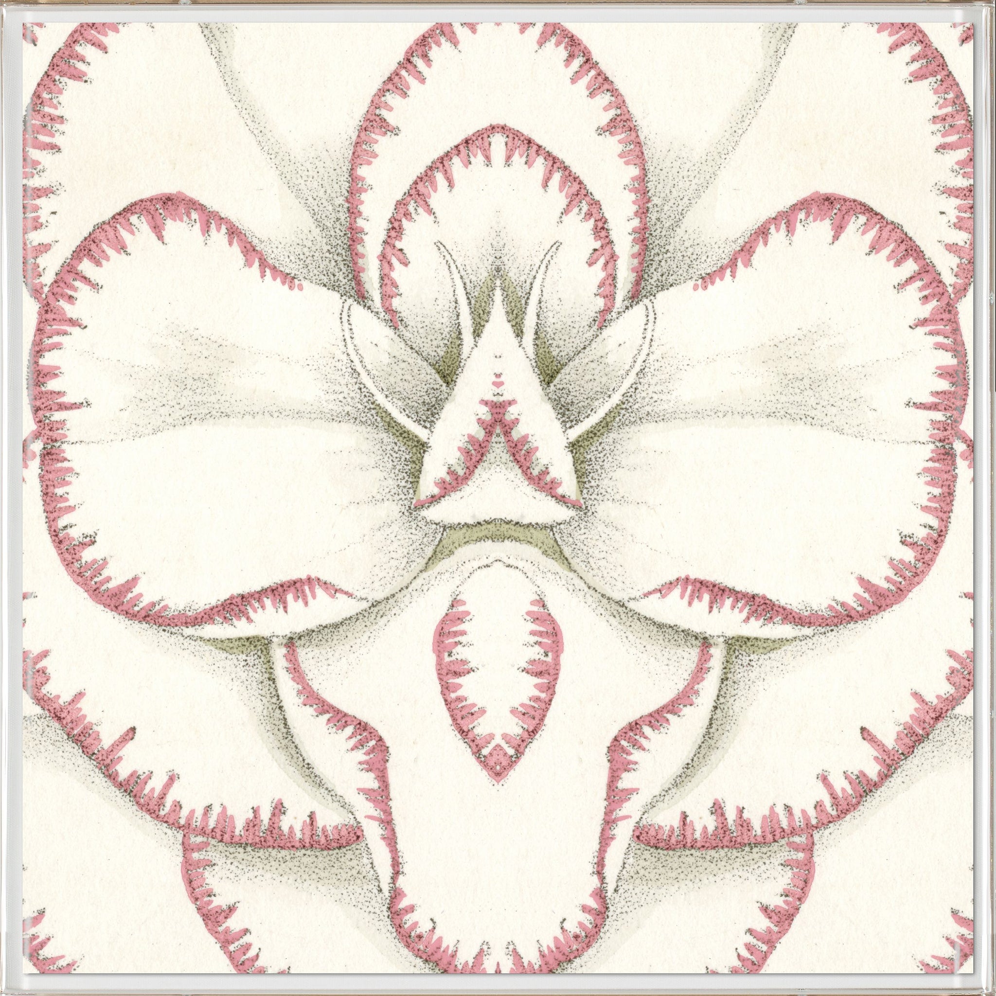 Natural Curiosities Carnations 3 Art