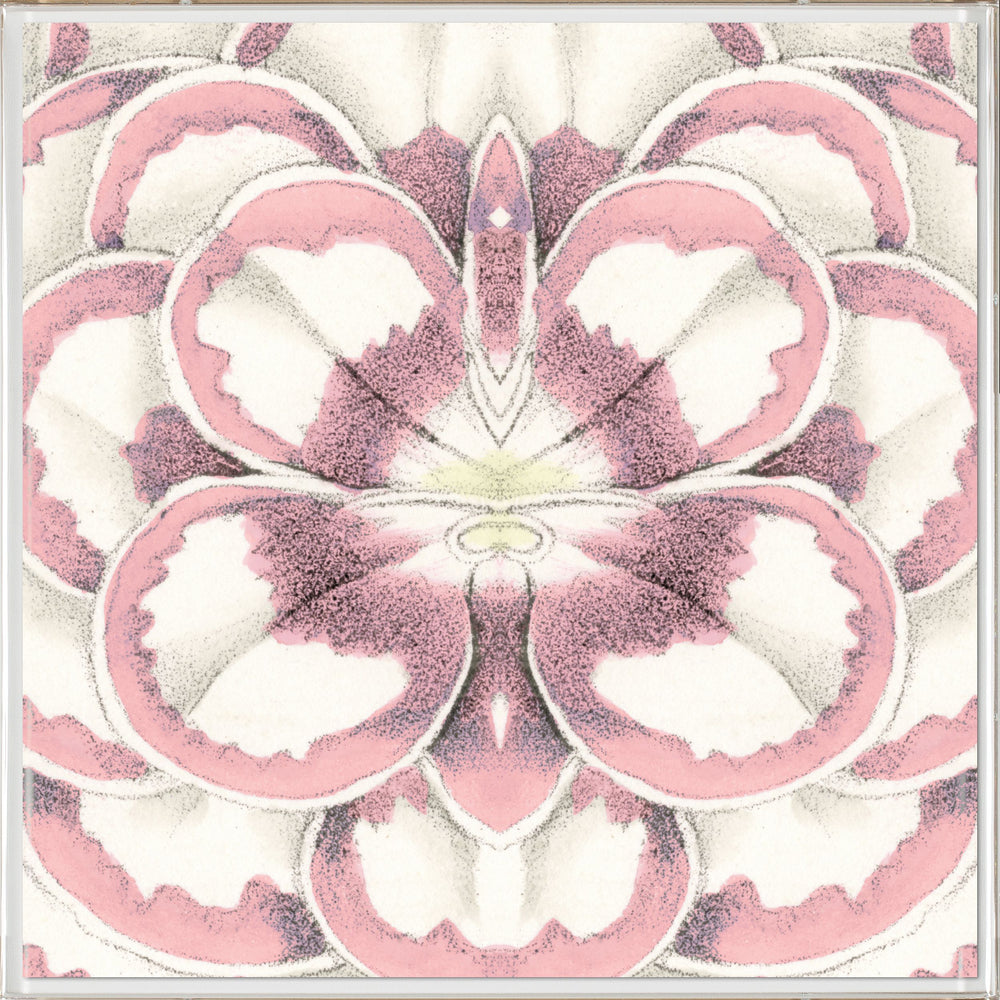 Natural Curiosities Carnations 4 Art