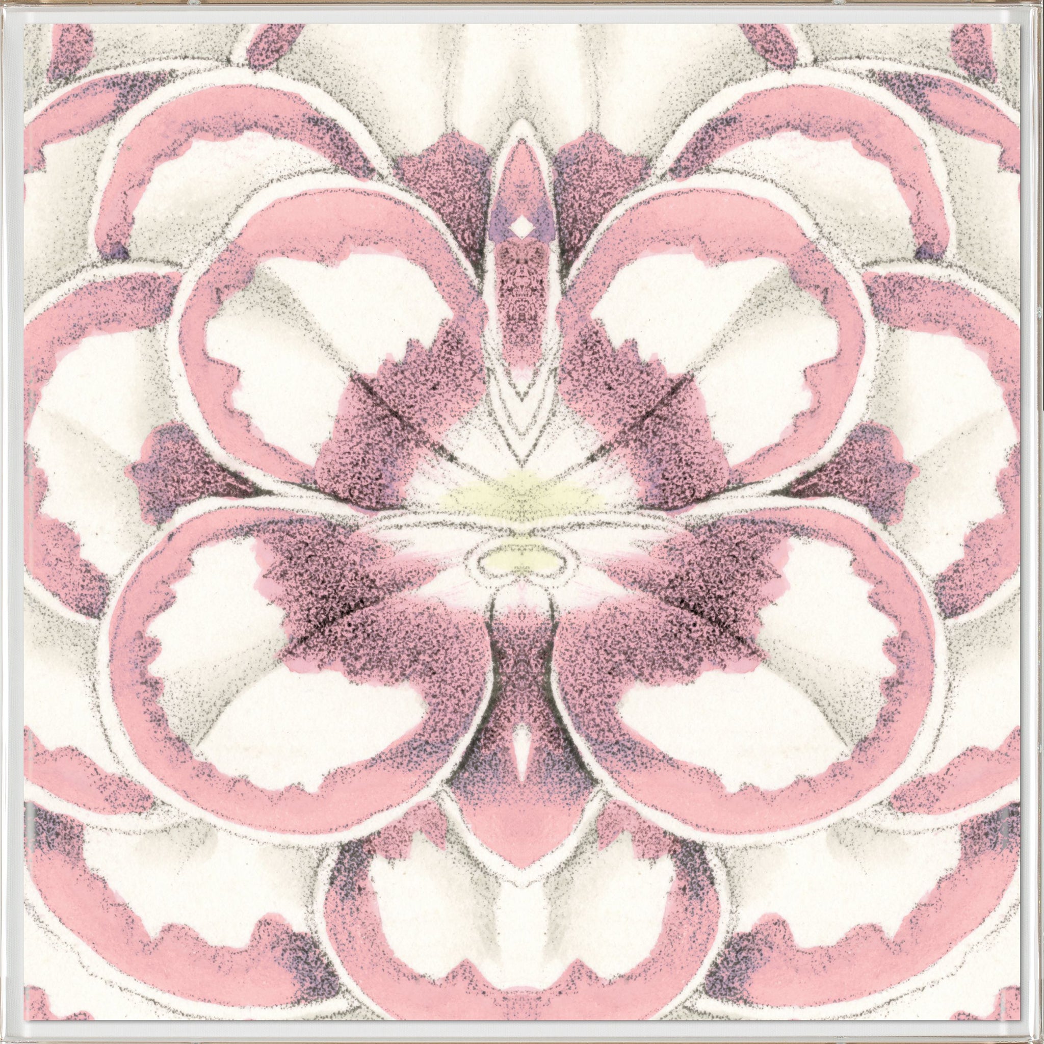 Natural Curiosities Carnations 4 Art