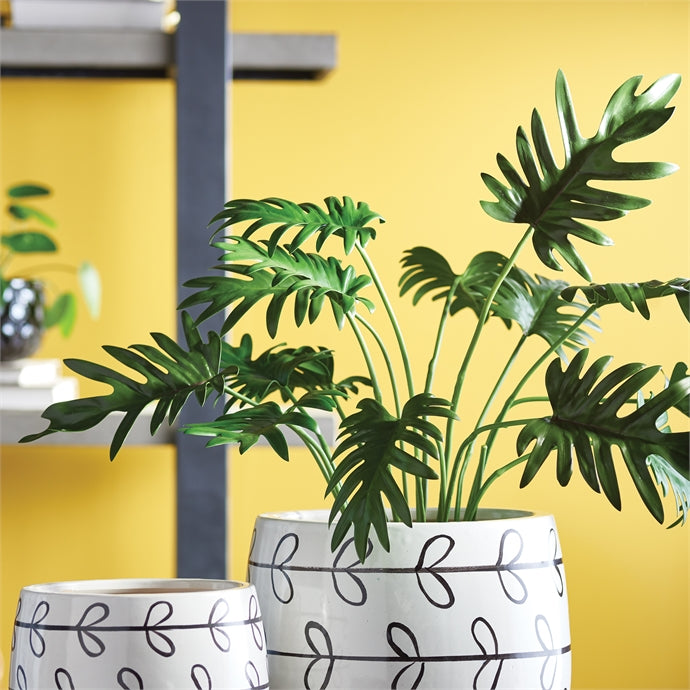 Split Leaf Selloum Drop In 22.5"