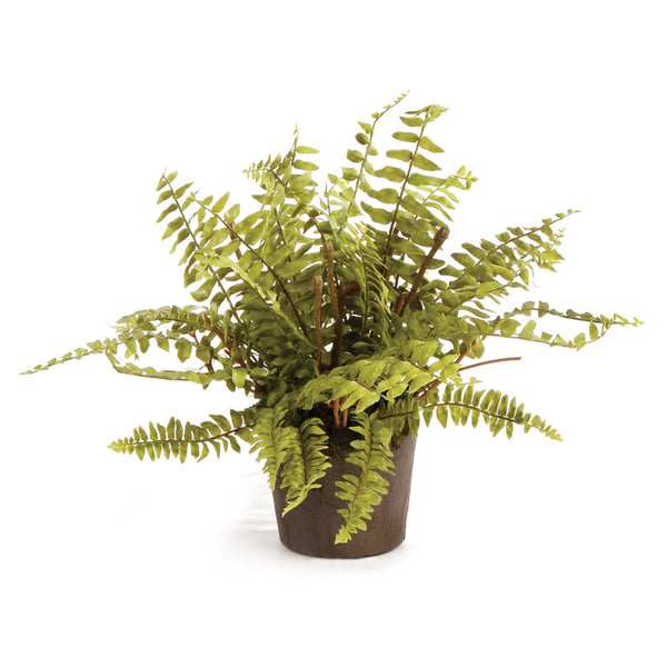 Napa Home And Garden Boston Fern Drop In 12"