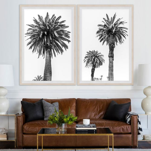 Natural Curiosities Chatsworth Palm Tree 1 and 2 Photographs
