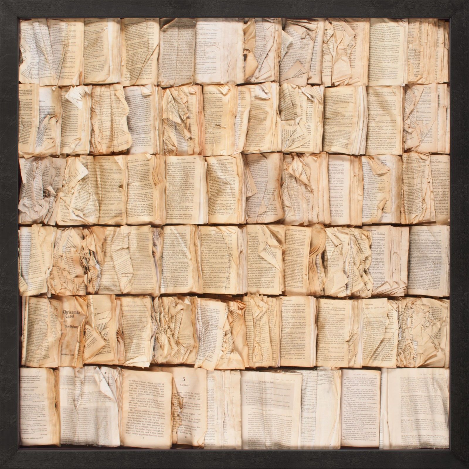 Natural Curiosities Cooking the Books Framed Art