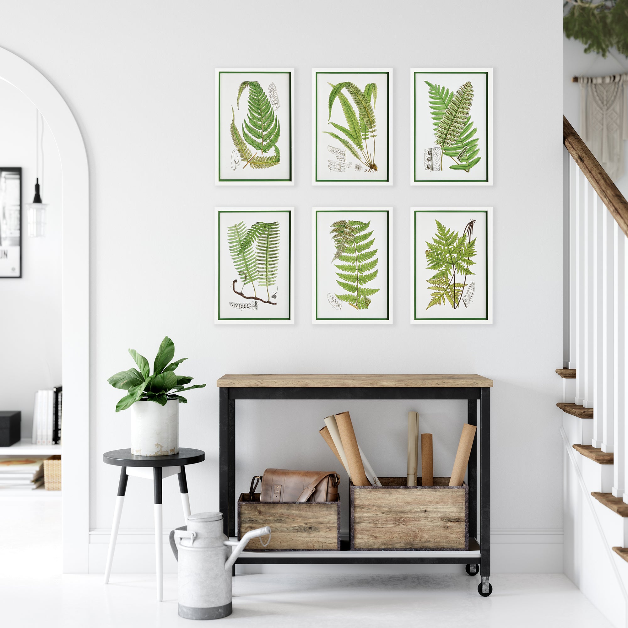 Napa Home And Garden Layered Fern Prints, Set Of 6