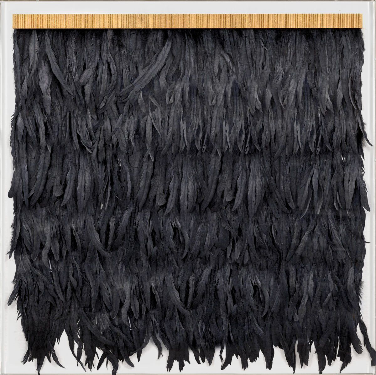 Natural Curiosities Dark Blue Feathers, Icarus Collection