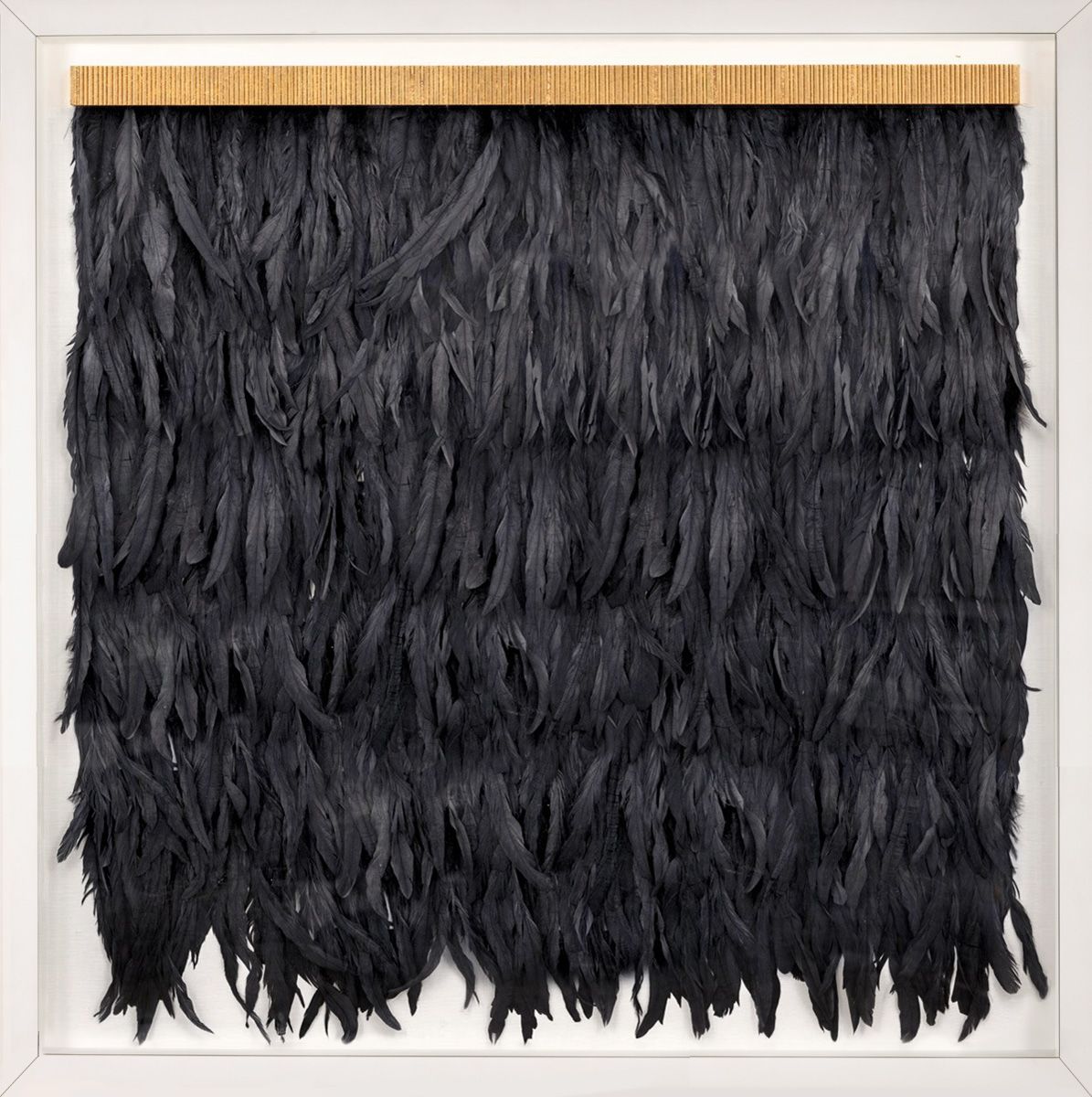 Natural Curiosities Dark Blue Feathers, Icarus Collection