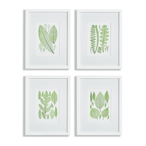 Napa Home And Garden Assorted Leaf Prints, Set Of 4