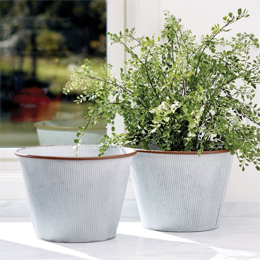 Maiden Hair Drop In 23"