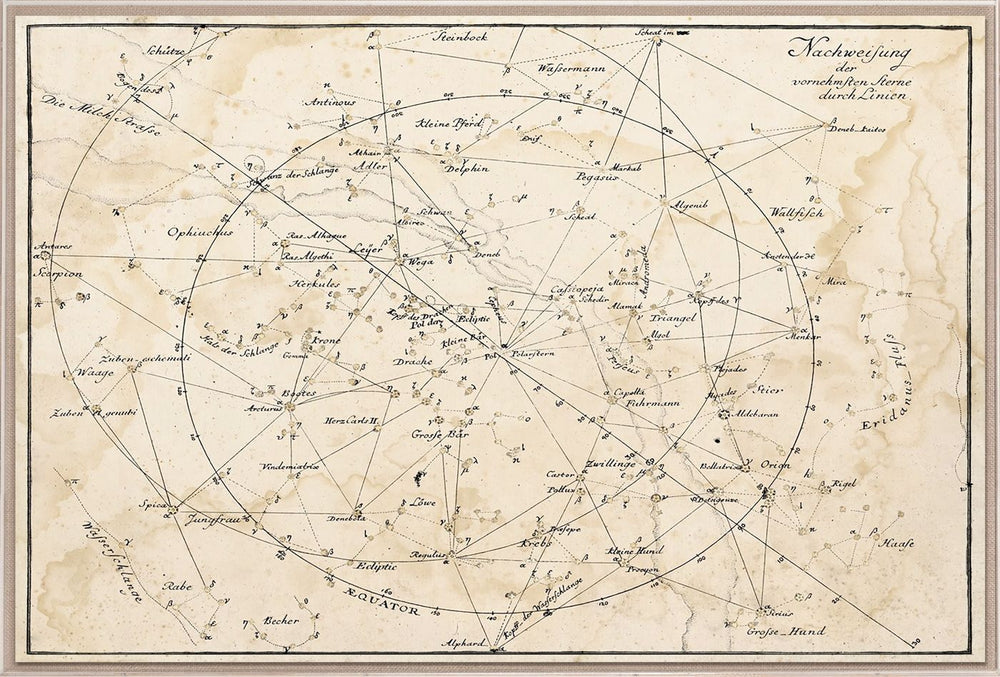 Natural Curiosities Dorali Celestial Art Print